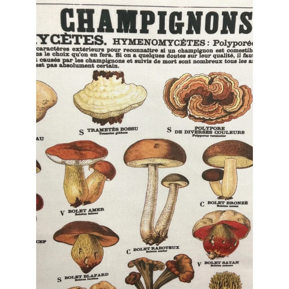 Vintage French Mushroom Botanical Scroll Wall Hanging Canvas Fungi Chart Art